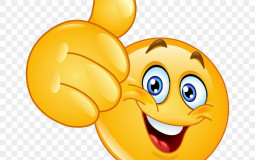 McManhunt Ranks / Roles