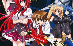 High School DXD Best Girl