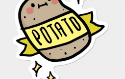 Potato