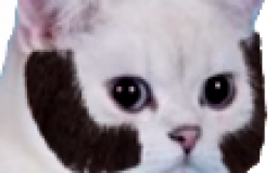 Stinky streamer emotes