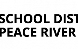 school district tier