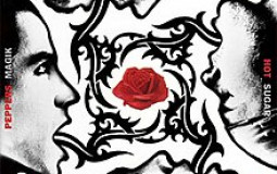 Red Hot Chili Peppers Albums