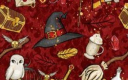 Classement livresque