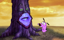 Courage smash or pass