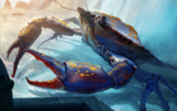 Magic the gathering crabs