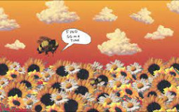 Flower Boy - Tyler, the Creator