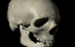 Oh my lordy lord an SMP tier list!1!1