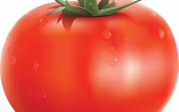 Best Roblox Country RP Games