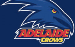 Ranking AFL Teams Logos