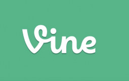 Vine