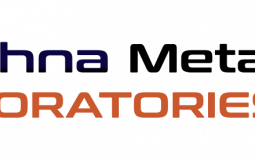 Krishna Metlab