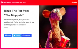 the fetus community of tiktok