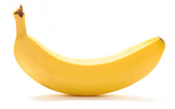 fruits