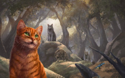 Warrior cats Super editios and novellas (june 2022)