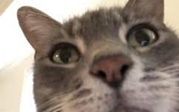 DAILY CHECKPOINT FOR THE BROS