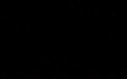 Your Bizarre adventure skins teirlist