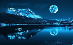 Who will do homework