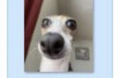 Asignaturas Españolas