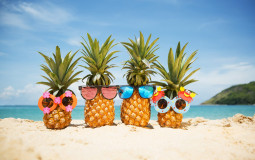 Beste vakantiesoorten