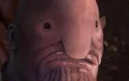 Men audrey would date