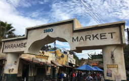 Animal Kingdom Quick Service