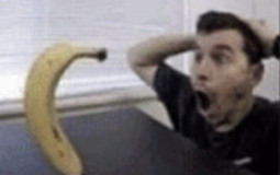 pfp tier list (by crank)