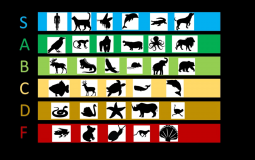 The Best Animal Tier List