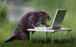 Тирлист Бобруйска