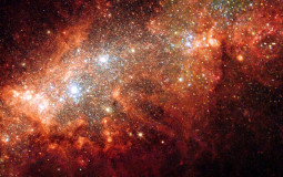 Kpop Bias (top 3) Pt1