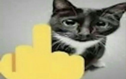 mejores bosses que me he enfrentado