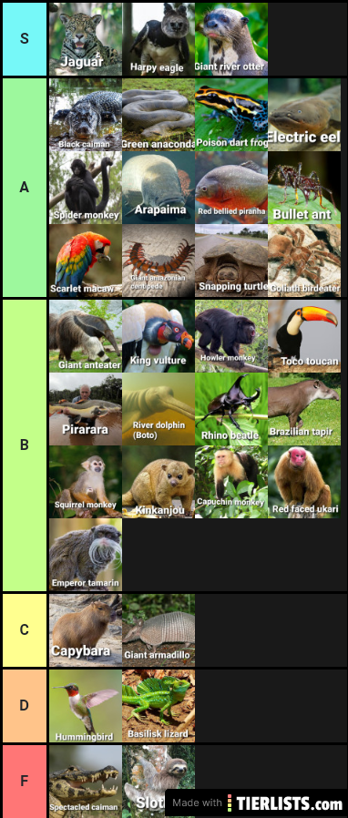 Amazon rainforest tier list