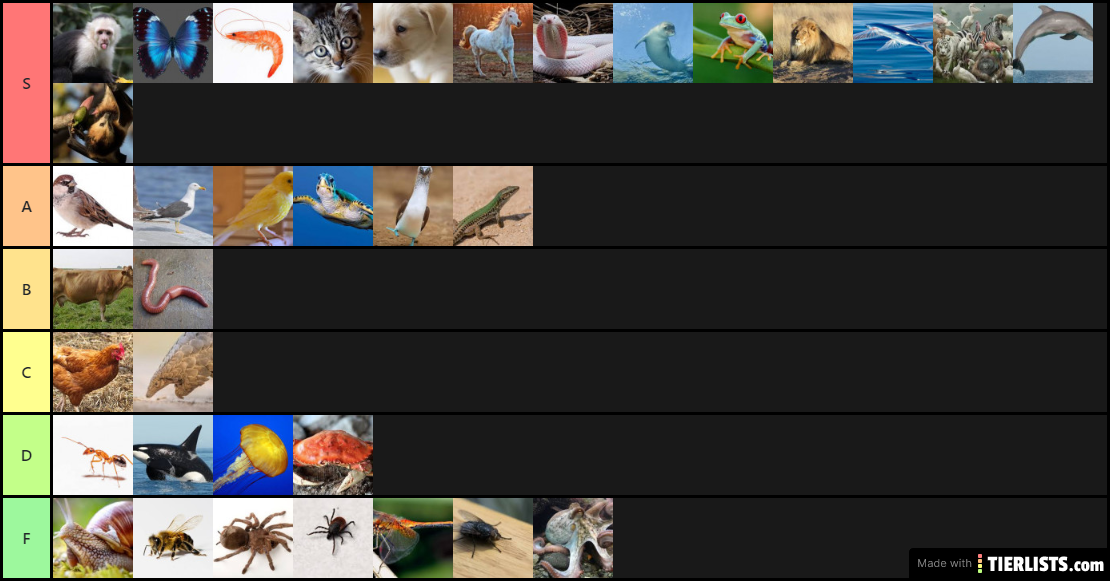 Animal List <3