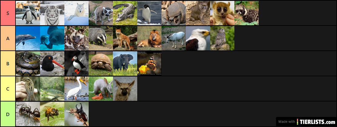 Animal Tier List 2