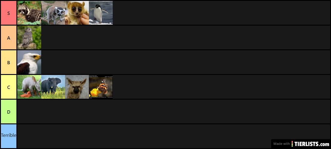 Animal Tier List