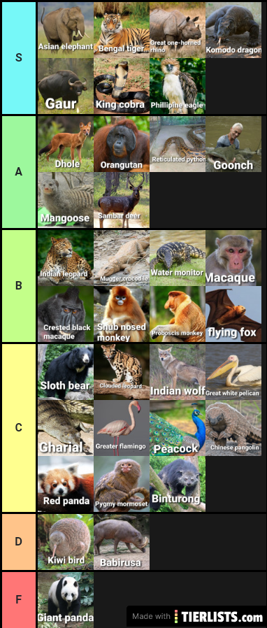 Asian jungle tier list