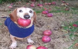 roleplay rotk tier list