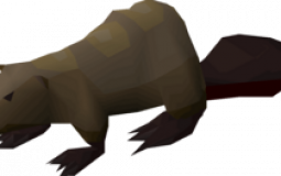 osrs pets