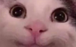 Smolls likes
