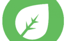 All of Ash's Grass types.