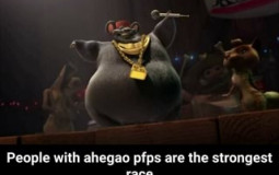 best antartica TJO player