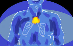 TMEA violin etude tier list