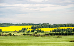 MOVIES - TV SHOWS CHARACTERS