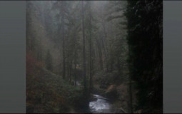 Ranking tiktok thrist traps 😀