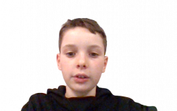 Plants VS. Zombies tier list