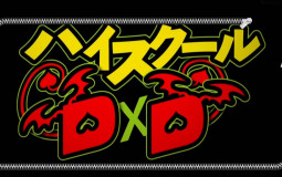Highschool DxD waifu