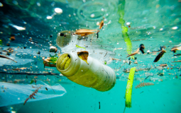 WATER POLLUTION