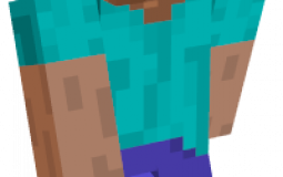 Types Of Minecraft Steve