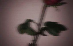 YA/Middle Grade Books I’ve Read