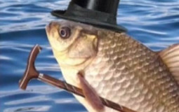 любимые игры kapacb45