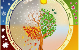 TierList des mois de l'année